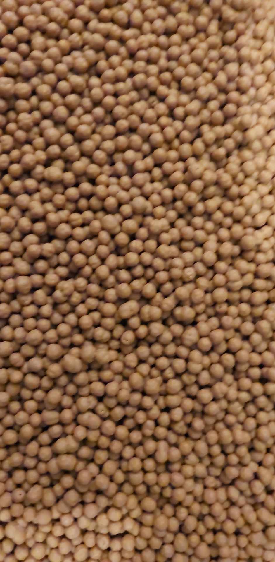 BILLE CRUNCH