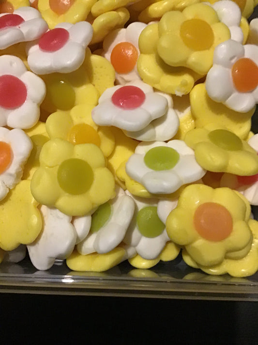Daisies