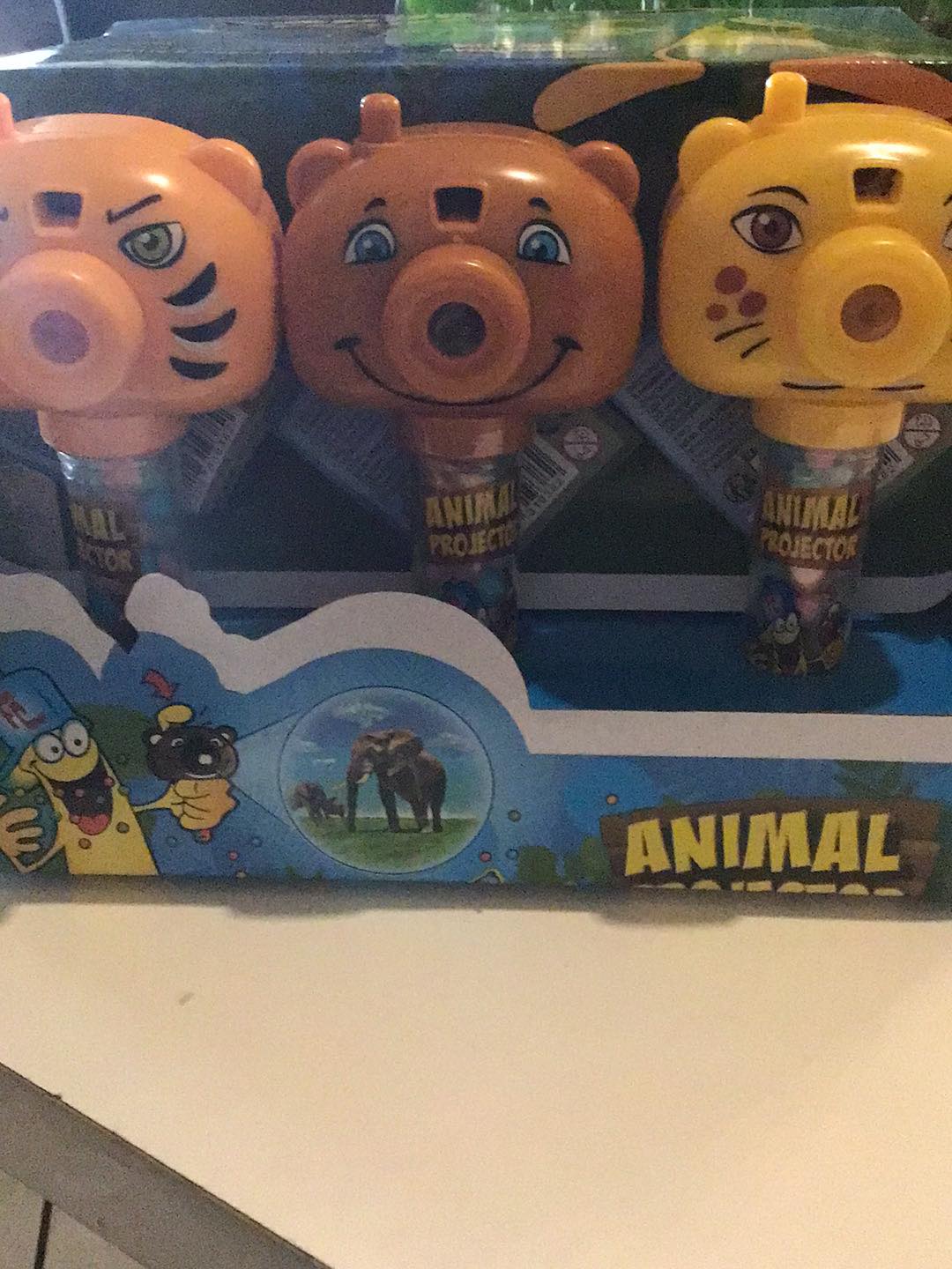 animal projector