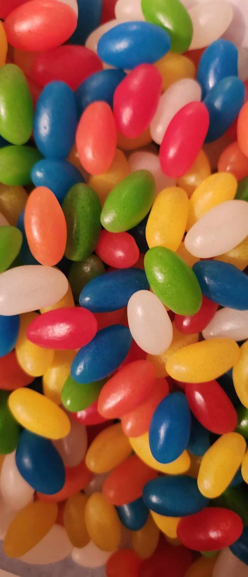 HARICOT JELLY BEANS