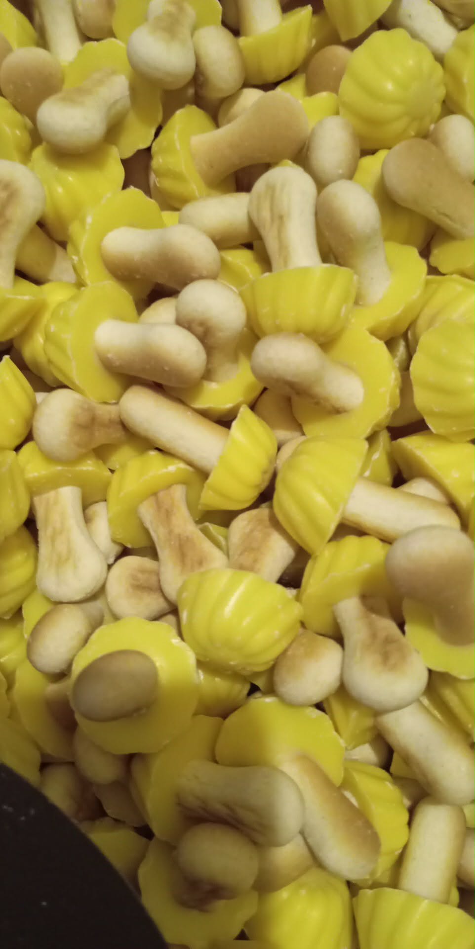 Champignon chocolat