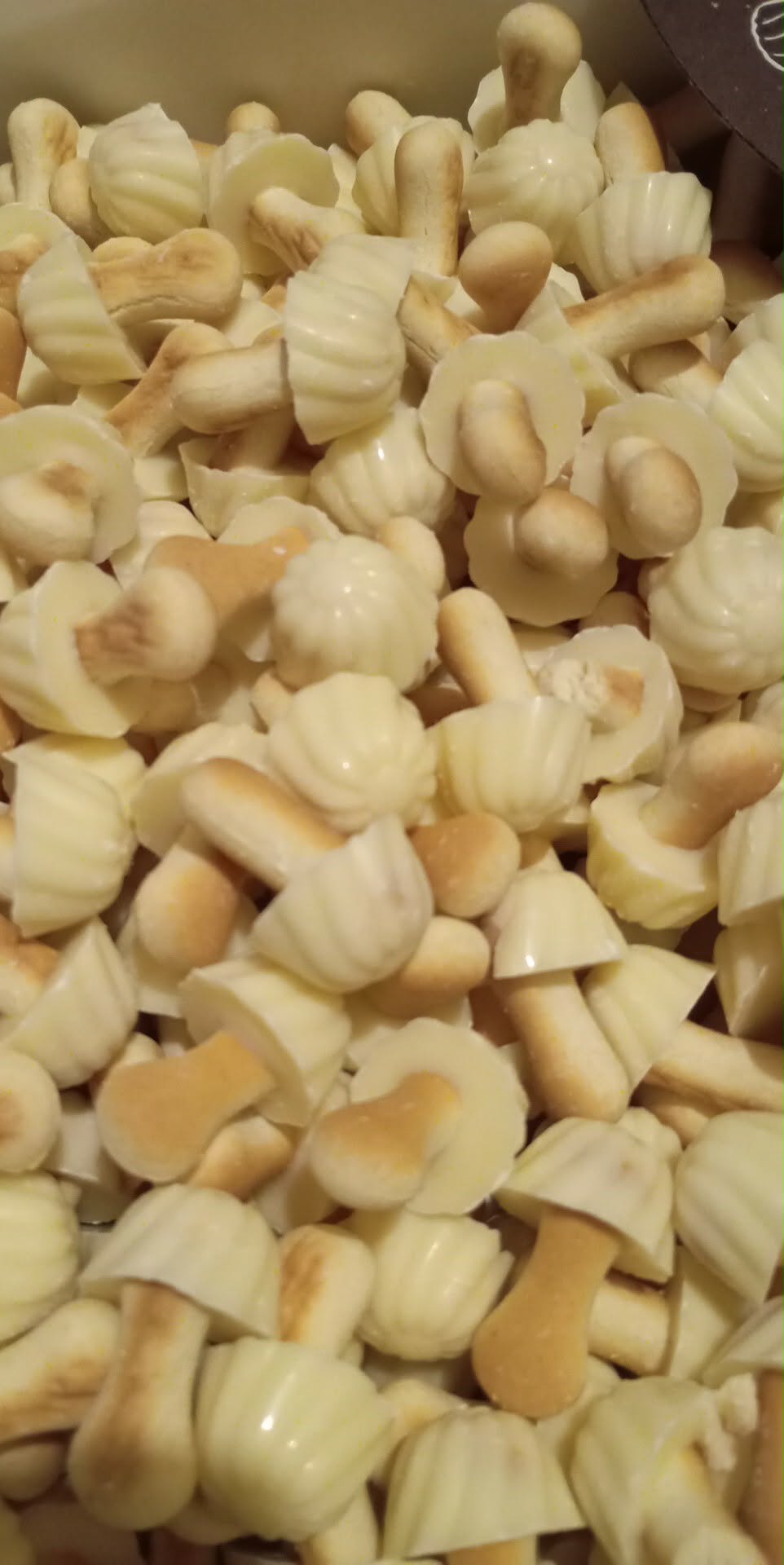 Champignon chocolat