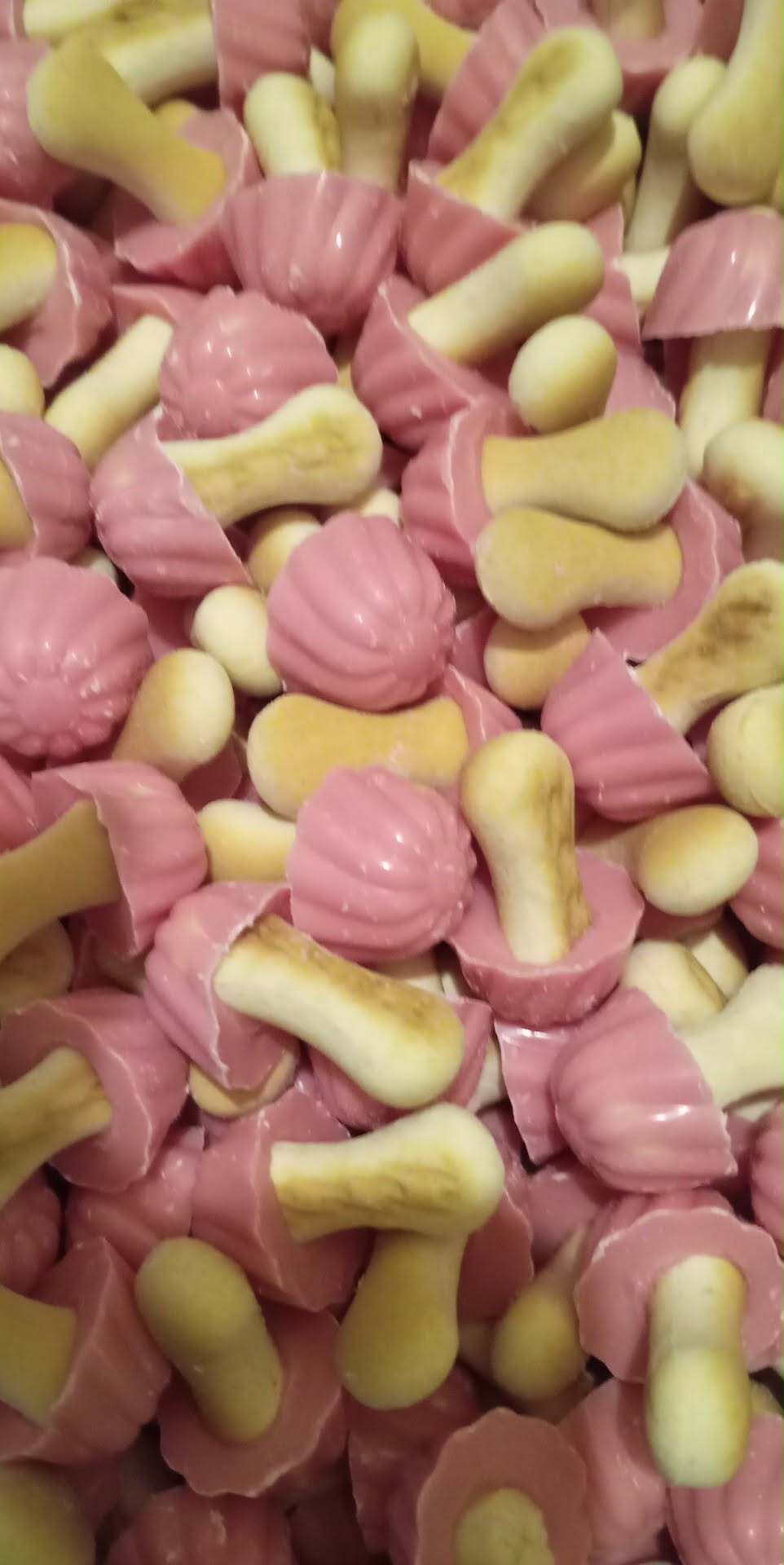 Champignon chocolat